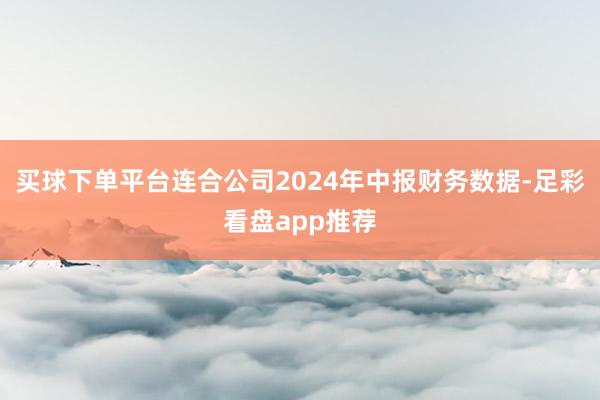 买球下单平台连合公司2024年中报财务数据-足彩看盘app推荐