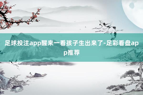足球投注app醒来一看孩子生出来了-足彩看盘app推荐