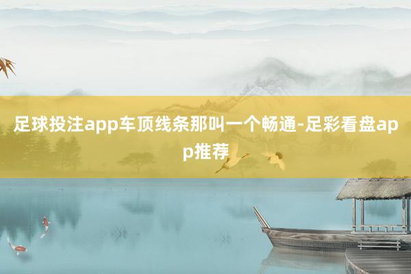 足球投注app车顶线条那叫一个畅通-足彩看盘app推荐