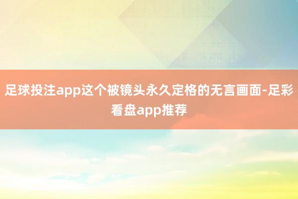 足球投注app这个被镜头永久定格的无言画面-足彩看盘app推荐