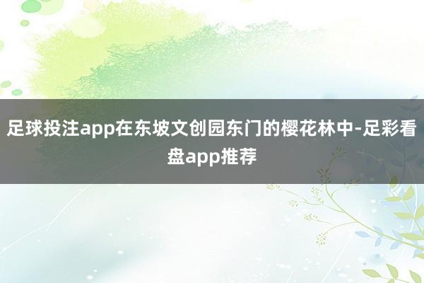 足球投注app在东坡文创园东门的樱花林中-足彩看盘app推荐