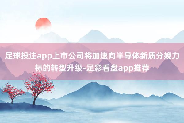 足球投注app上市公司将加速向半导体新质分娩力标的转型升级-足彩看盘app推荐