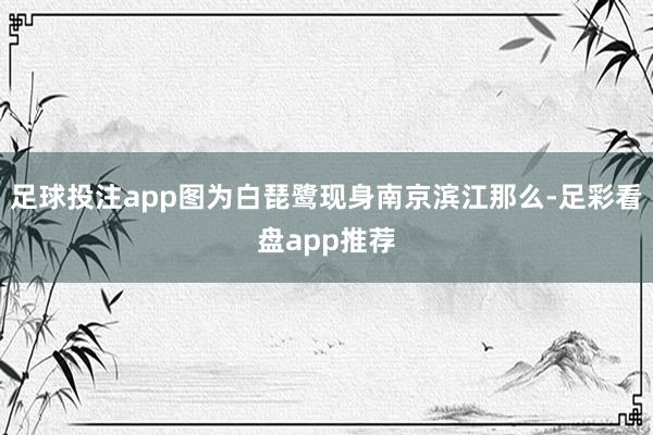 足球投注app图为白琵鹭现身南京滨江那么-足彩看盘app推荐