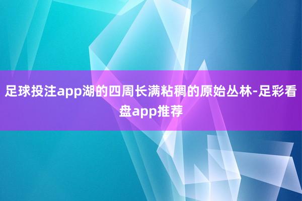 足球投注app湖的四周长满粘稠的原始丛林-足彩看盘app推荐
