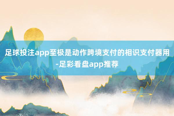 足球投注app至极是动作跨境支付的相识支付器用-足彩看盘app推荐