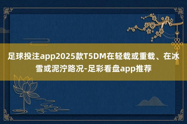 足球投注app2025款T5DM在轻载或重载、在冰雪或泥泞路况-足彩看盘app推荐