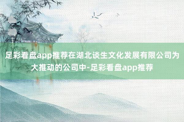 足彩看盘app推荐在湖北谈生文化发展有限公司为大推动的公司中-足彩看盘app推荐