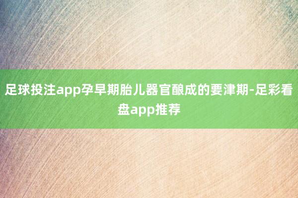 足球投注app孕早期胎儿器官酿成的要津期-足彩看盘app推荐