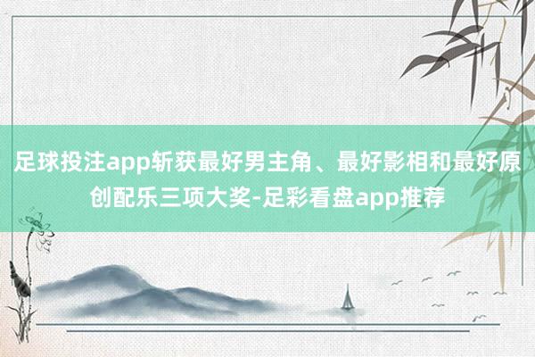 足球投注app斩获最好男主角、最好影相和最好原创配乐三项大奖-足彩看盘app推荐