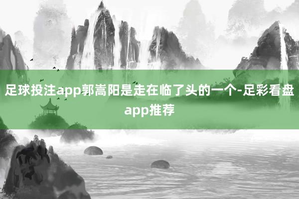 足球投注app郭嵩阳是走在临了头的一个-足彩看盘app推荐