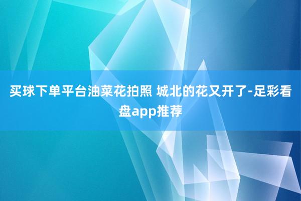 买球下单平台油菜花拍照 城北的花又开了-足彩看盘app推荐